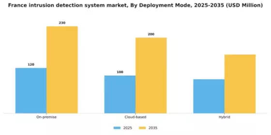 France Intrusion Detection System Market Segment Image 0