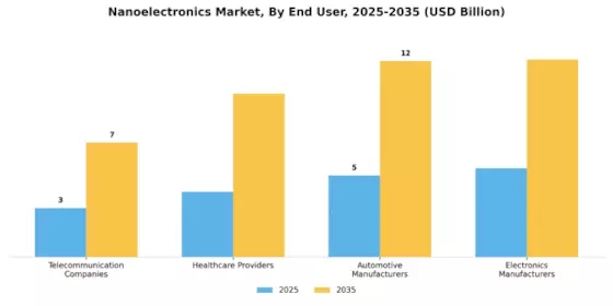 Nanoelectronics Market Segment Image 1