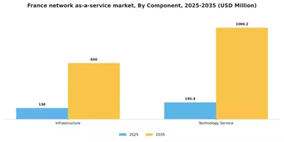 France Network As A Service Market Segment Image 0