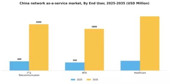 China Network As A Service Market Segment Image 1