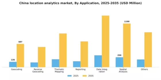 China Location Analytics Market Segment Image 0
