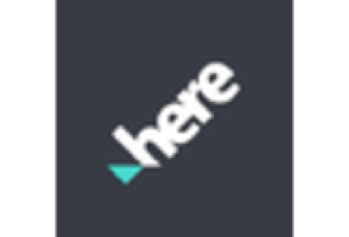 Brazil Location Analytics Market key player