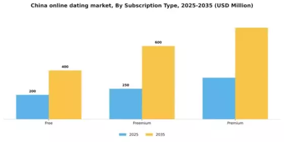 China Online Dating Market Segment Image 2