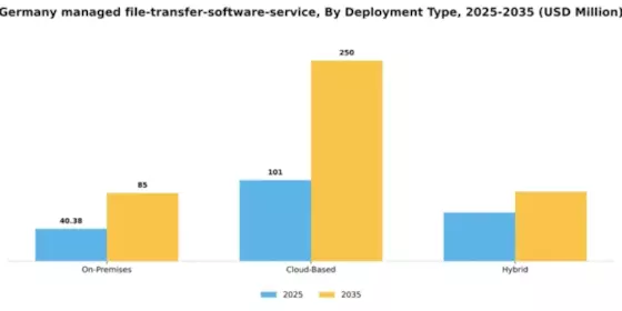 Germany Managed File Transfer Software Service Market Segment Image 0