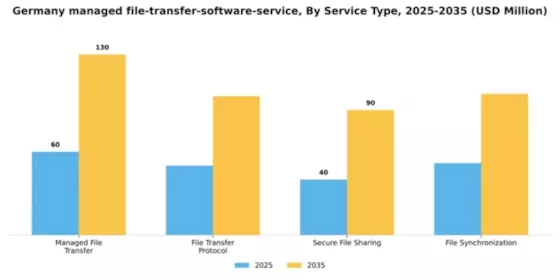 Germany Managed File Transfer Software Service Market Segment Image 3