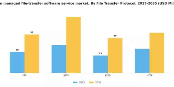 Japan Managed File Transfer Software Service Market Segment Image 2