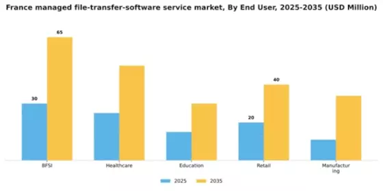 France Managed File Transfer Software Service Market Segment Image 1