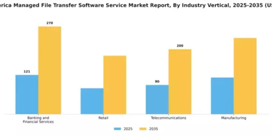 South America Managed File Transfer Software Service Market Segment Image 4