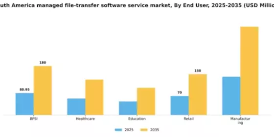 South America Managed File Transfer Software Service Market Segment Image 1
