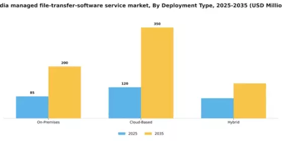 India Managed File Transfer Software Service Market Segment Image 0