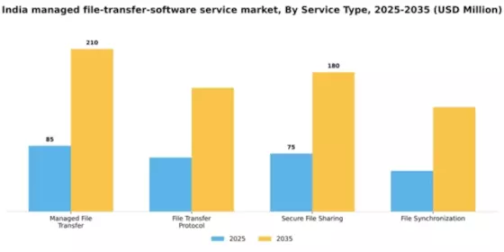 India Managed File Transfer Software Service Market Segment Image 3
