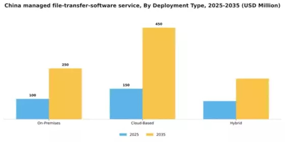 China Managed File Transfer Software Service Market Segment Image 0
