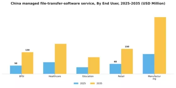China Managed File Transfer Software Service Market Segment Image 1