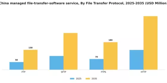 China Managed File Transfer Software Service Market Segment Image 2