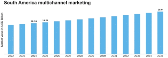South America Multichannel Marketing Market Size