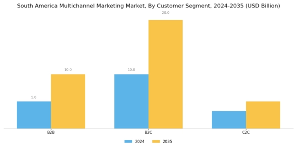 South America Multichannel Marketing Market Segment Image 1