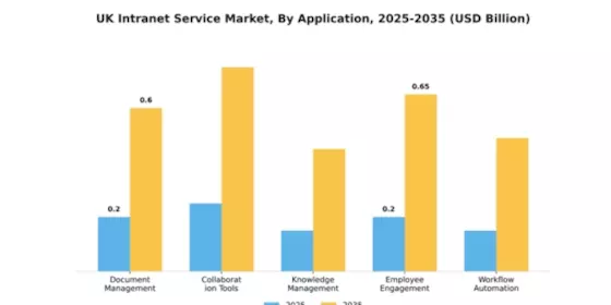 UK Intranet Service Market Segment Image 0