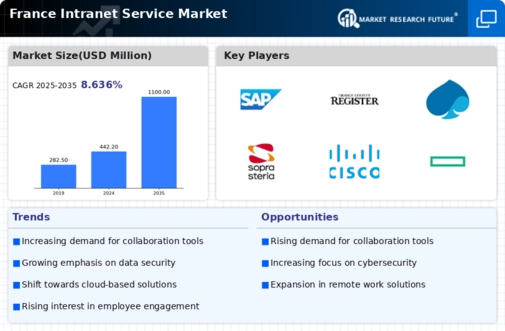 France Intranet Service Market Infographic