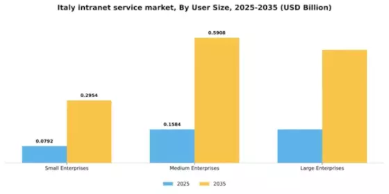 Italy Intranet Service Market Segment Image 4