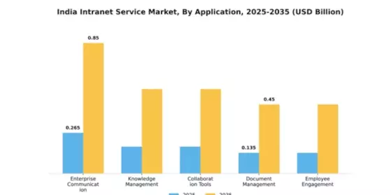 India Intranet Service Market Segment Image 0