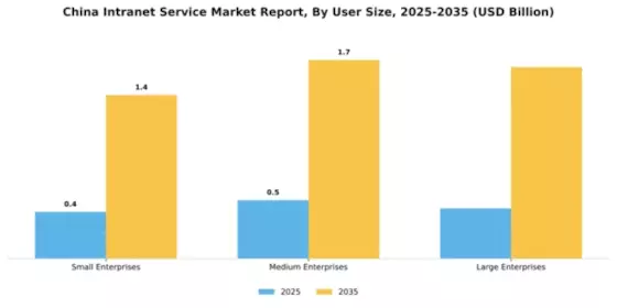 China Intranet Service Market Segment Image 4