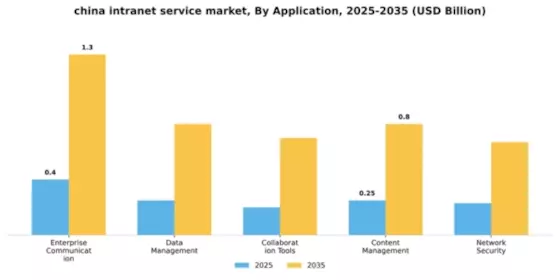 China Intranet Service Market Segment Image 0