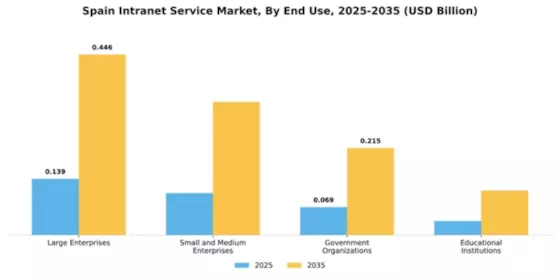 Spain Intranet Service Market Segment Image 2
