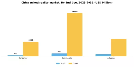 China Mixed Reality Market Segment Image 2