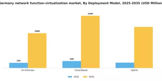 Germany Network Function Virtualization Market Segment Image 1