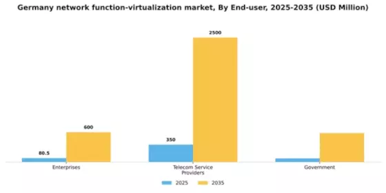 Germany Network Function Virtualization Market Segment Image 2