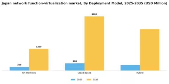 Japan Network Function Virtualization Market Segment Image 1