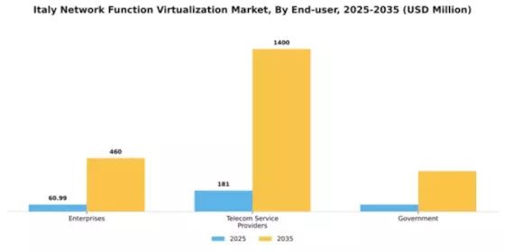 Italy Network Function Virtualization Market Segment Image 2