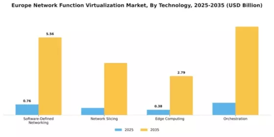 Europe Network Function Virtualization Market Segment Image 4