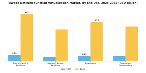 Europe Network Function Virtualization Market Segment Image 2