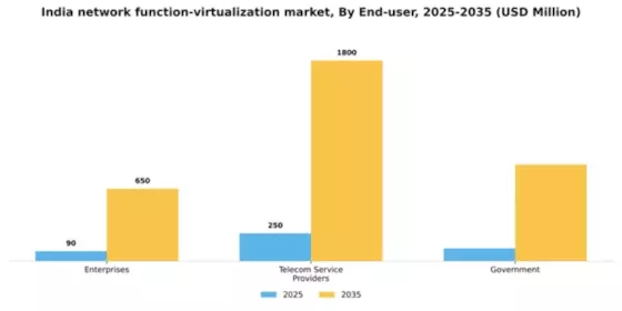 India Network Function Virtualization Market Segment Image 2