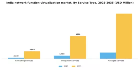 India Network Function Virtualization Market Segment Image 3