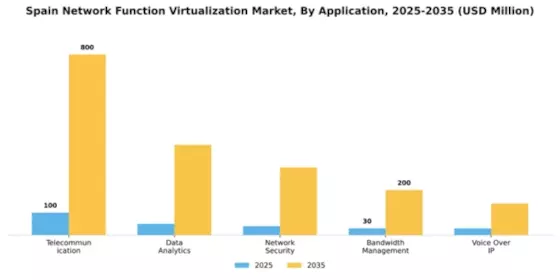 Spain Network Function Virtualization Market Segment Image 0