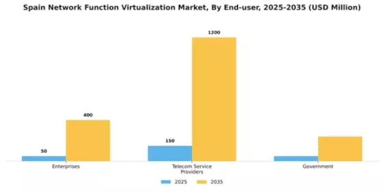Spain Network Function Virtualization Market Segment Image 2
