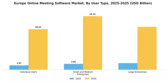 Europe Online Meeting Software Market Segment Image 4