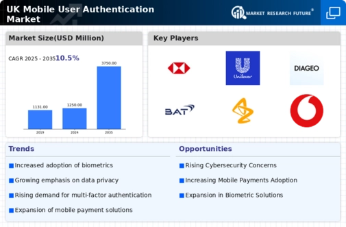 UK Mobile User Authentication Market Infographic