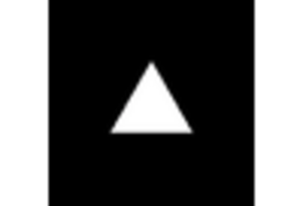 Spain Mobile User Authentication Market key player