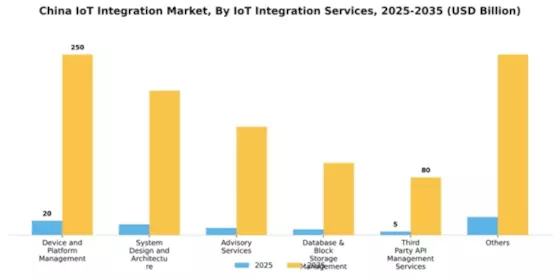 China Iot Integration Market Segment Image 1