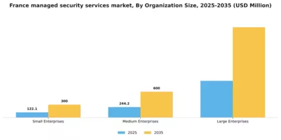 France Managed Security Services Market Segment Image 2