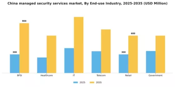 China Managed Security Services Market Segment Image 1