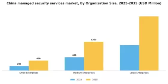 China Managed Security Services Market Segment Image 2