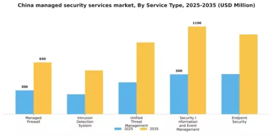 China Managed Security Services Market Segment Image 3