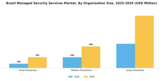Brazil Managed Security Services Market Segment Image 2