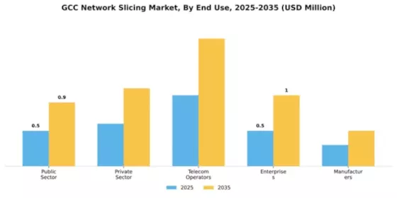 GCC Network Slicing Market Segment Image 1