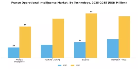 France Operational Intelligence Market Segment Image 3