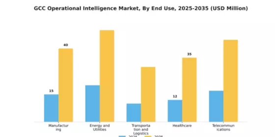 GCC Operational Intelligence Market Segment Image 2